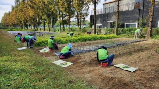 [크기변환]사본 -고용과-성남시 지역공동체 일자리 사업 중 참가자들이 수목식재 하는 모습.jpg