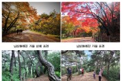 서울시, 치매어르신 '산림치유 프로그램' 운영